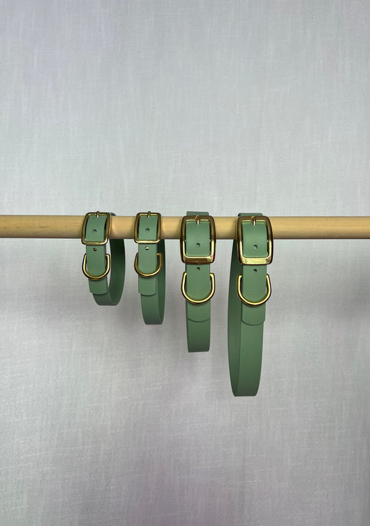 Custom Single Colour Collar
